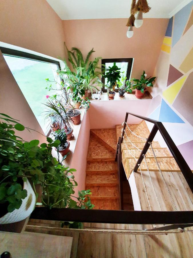 ---Allegria House--- Stepantsminda Exterior photo